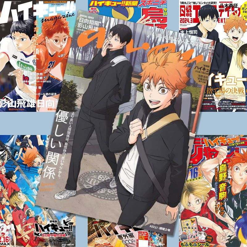 Haikyuu!! poster, Hinata Shoyo - Anime Merchandise Haikyuu recensie en prijs