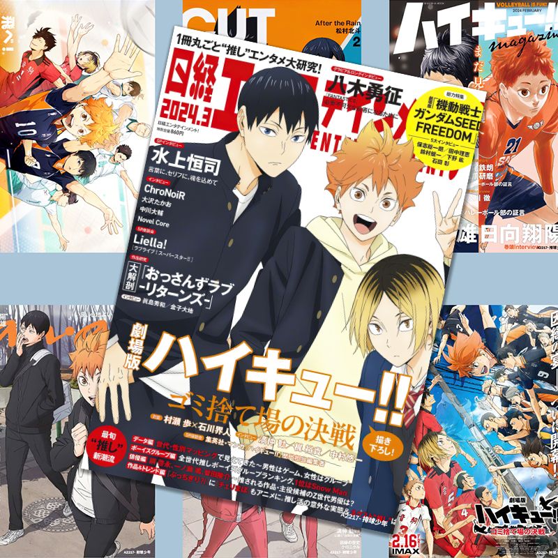 Haikyuu!! poster, Hinata Shoyo - Anime Merchandise Haikyuu recensie en prijs