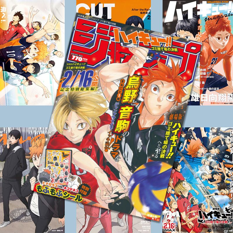 Haikyuu!! poster, Hinata Shoyo - Anime Merchandise Haikyuu recensie en prijs