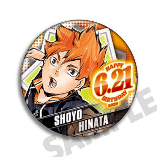 Volleybal Haikyuu Anime Badge  - Anime Merchandise Haikyuu recensie en prijs